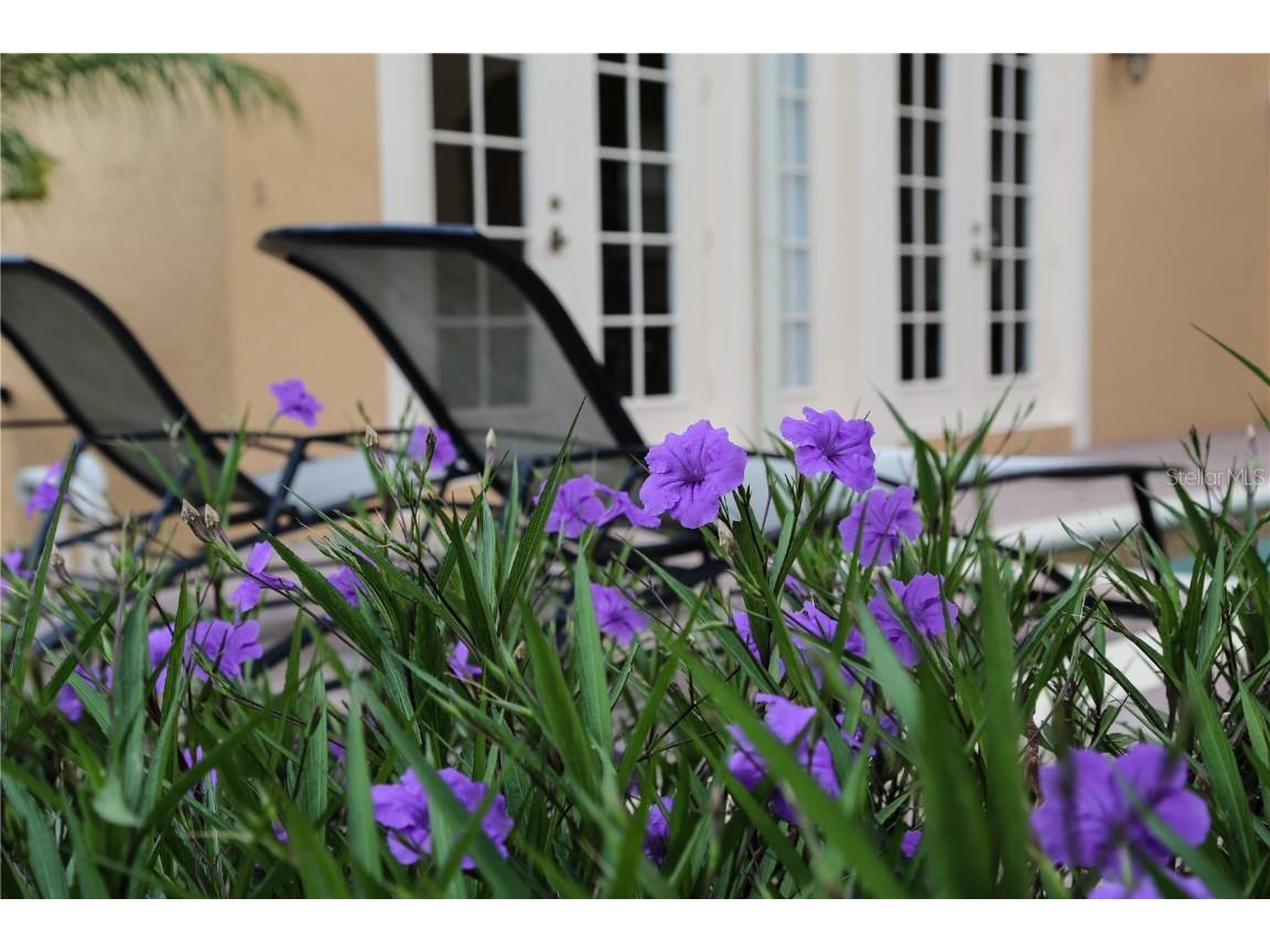 490 Muirfield Loop Reunion FL 34747 O6322422 image73