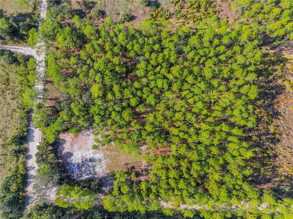 490 S Samsula Drive New Smyrna Beach FL 32168 NS1086703 image21