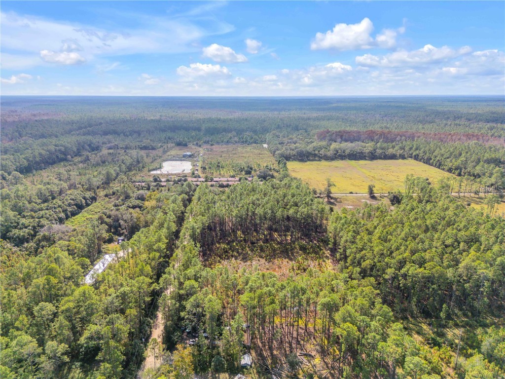 490 S Samsula Drive New Smyrna Beach FL 32168 NS1086703 image25