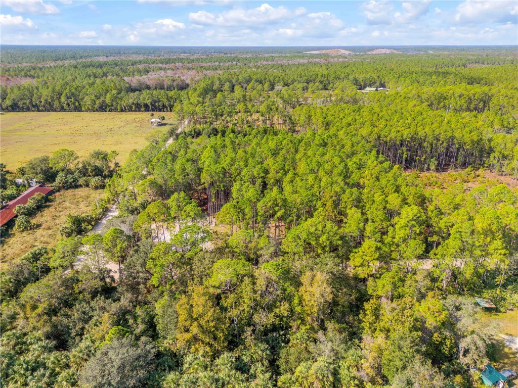 490 S Samsula Drive New Smyrna Beach FL 32168 NS1086703 image29