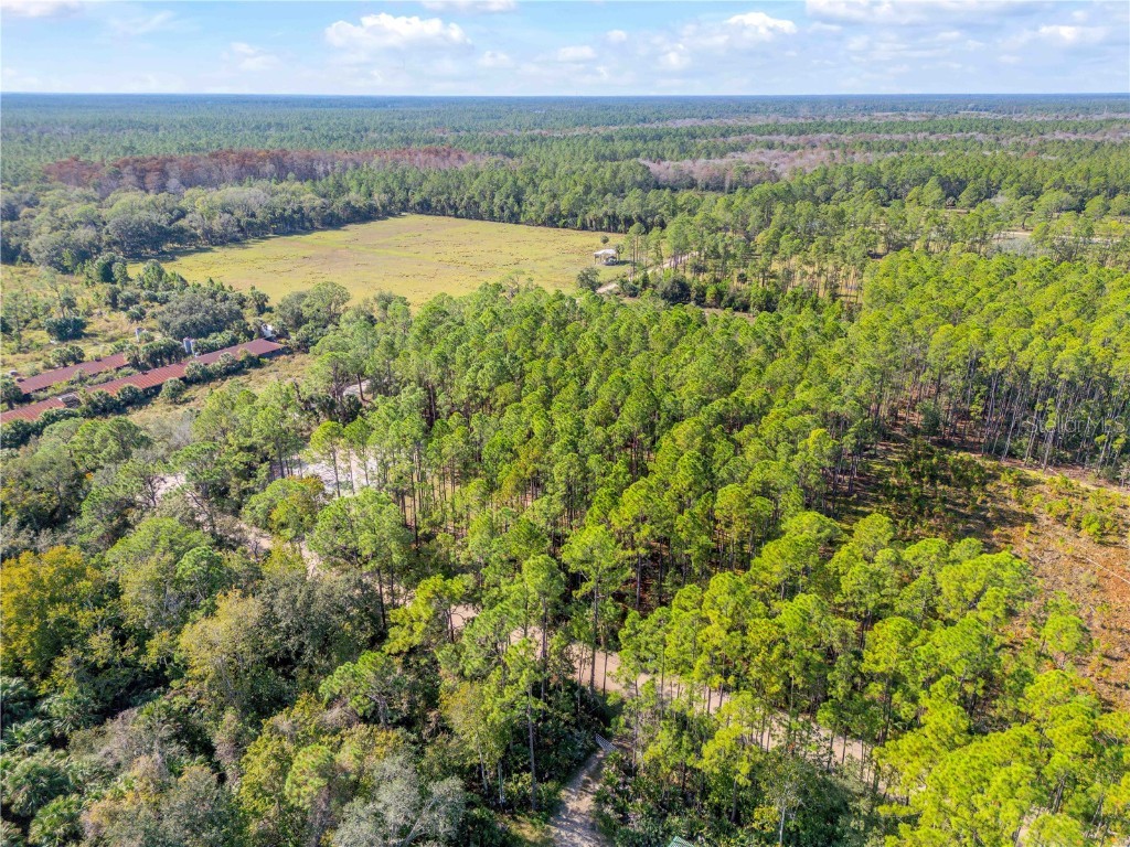 490 S Samsula Drive New Smyrna Beach FL 32168 NS1086703 image30