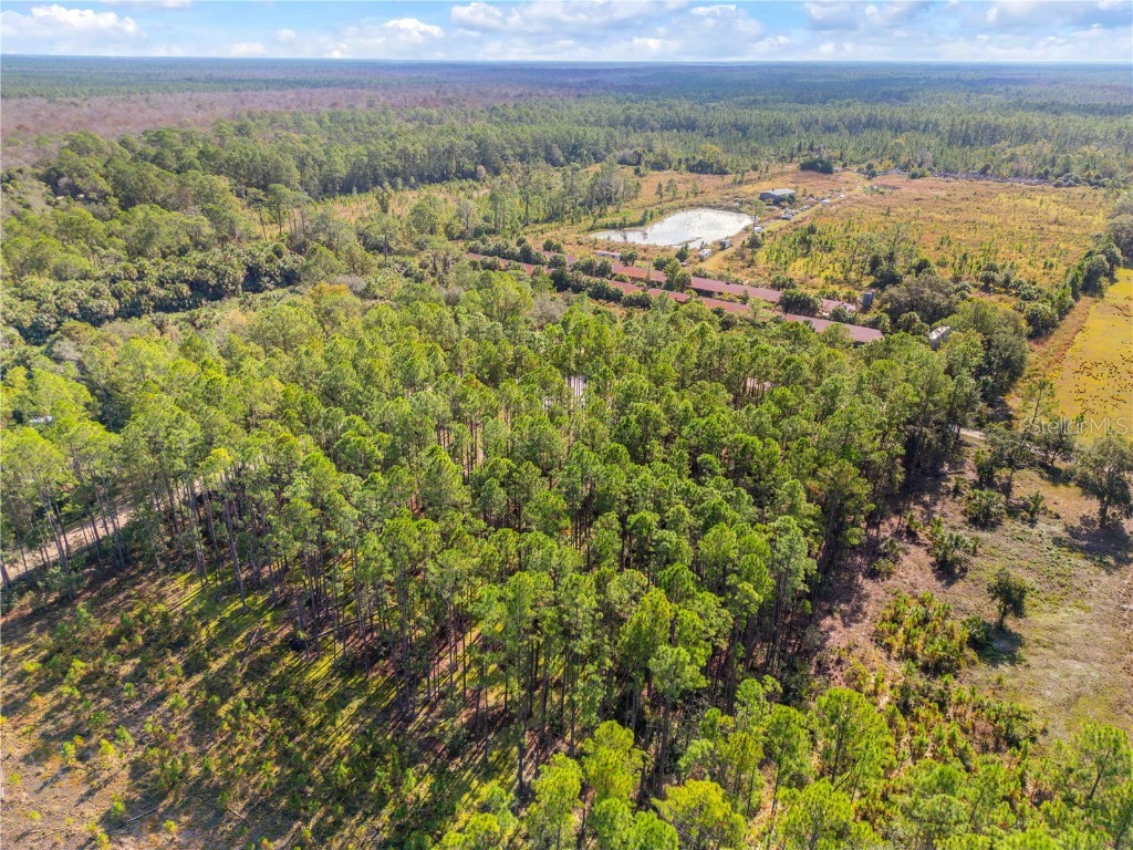 490 S Samsula Drive New Smyrna Beach FL 32168 NS1086703 image33