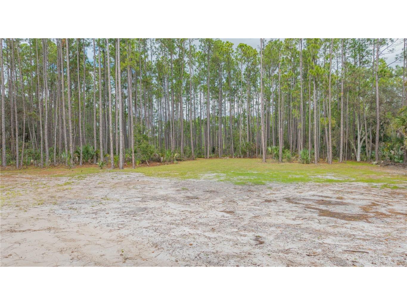 490 S Samsula Drive New Smyrna Beach FL 32168 NS1086703 image6