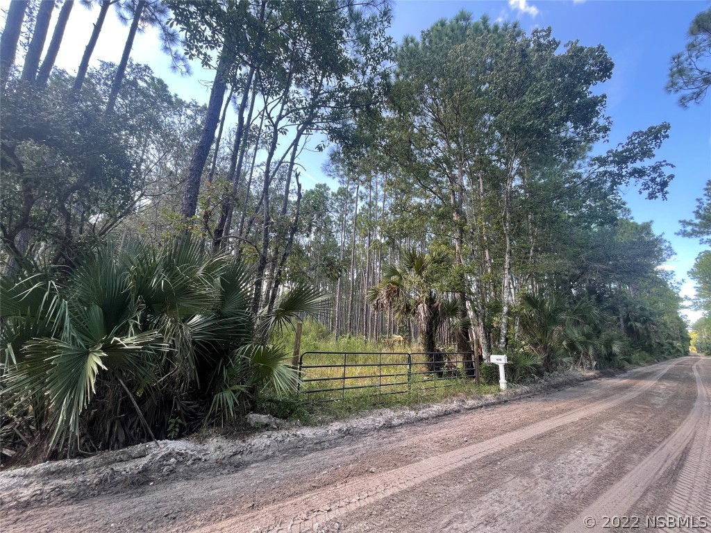 490 S Samsula Drive New Smyrna Beach FL 32168 NS1071327 image1