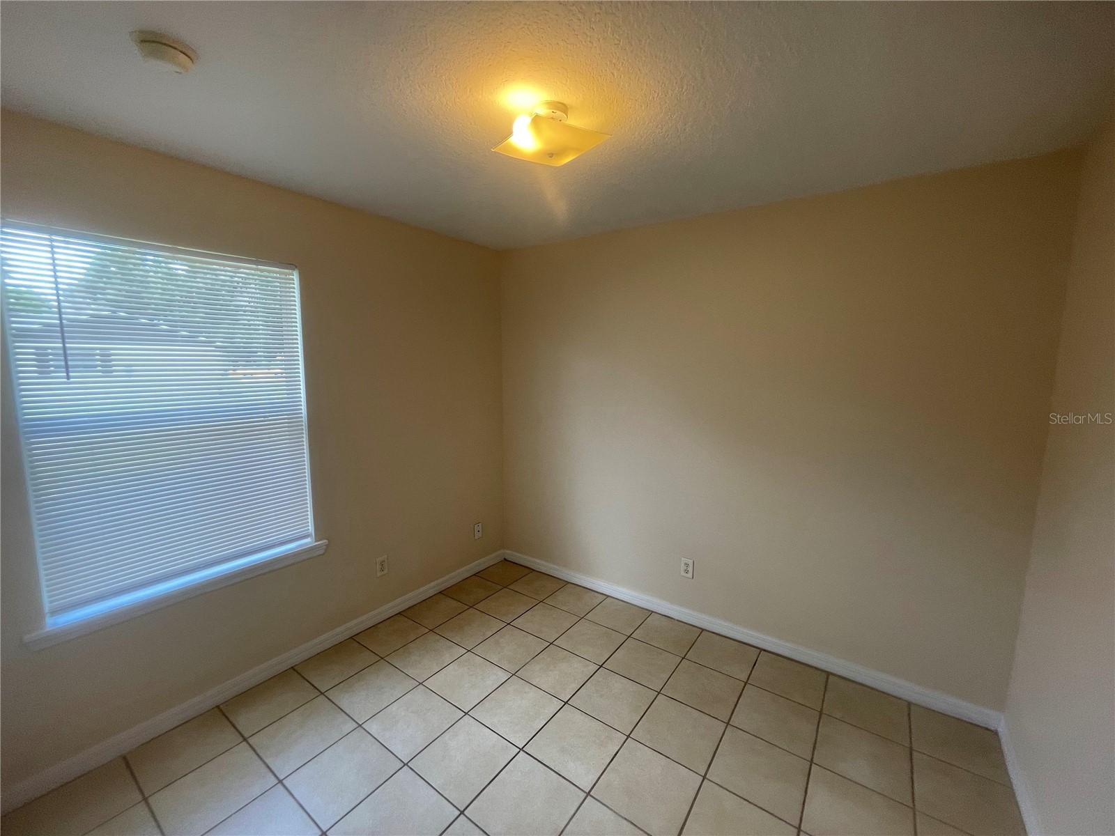 4900 9th Street Zephyrhills FL 33542 TB8475947 image12