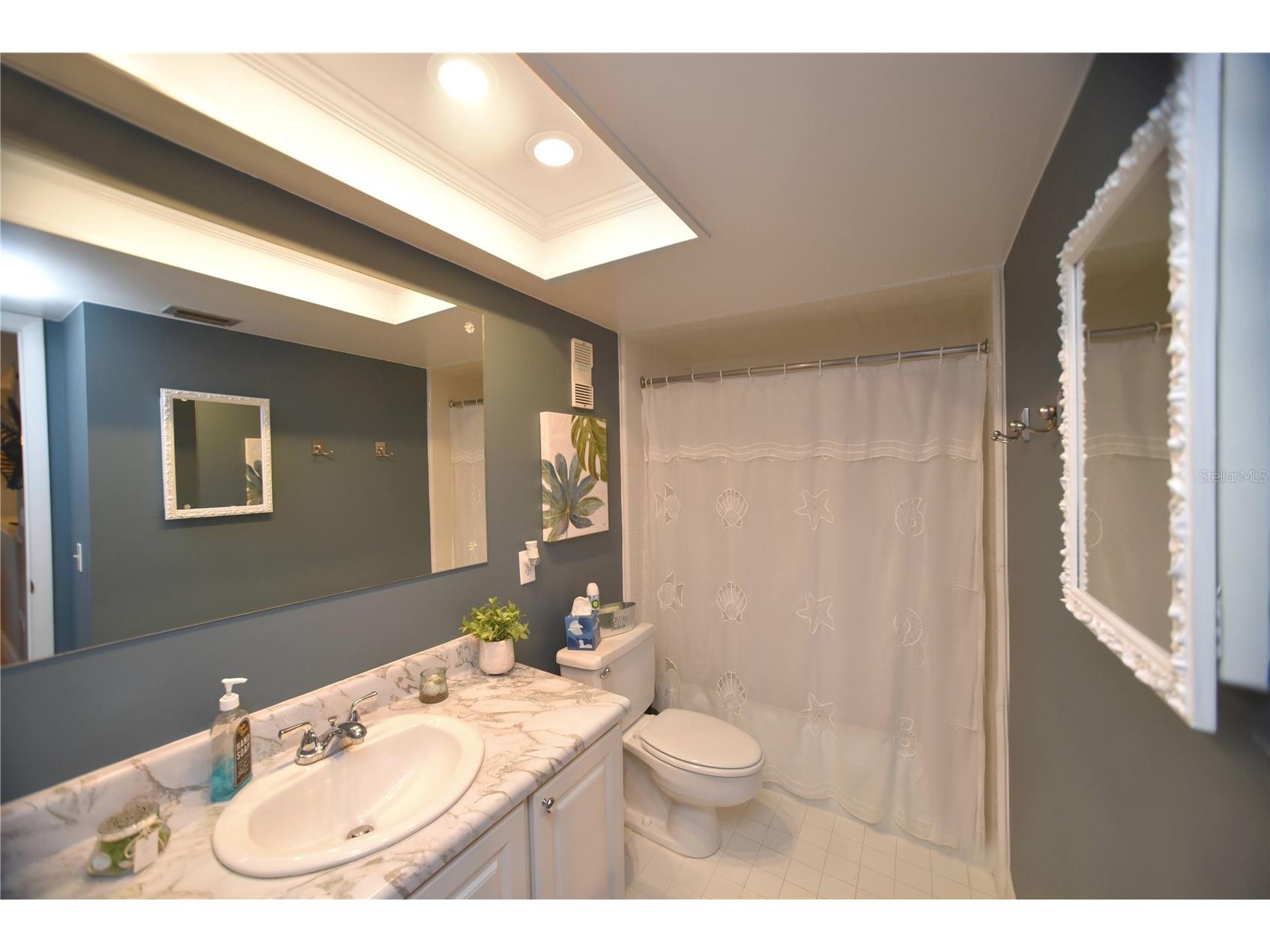 4900 Brittany Drive S #1003 Saint Petersburg FL 33715 - BOCA CIEGA TAMPA BAY TB8432618 image11