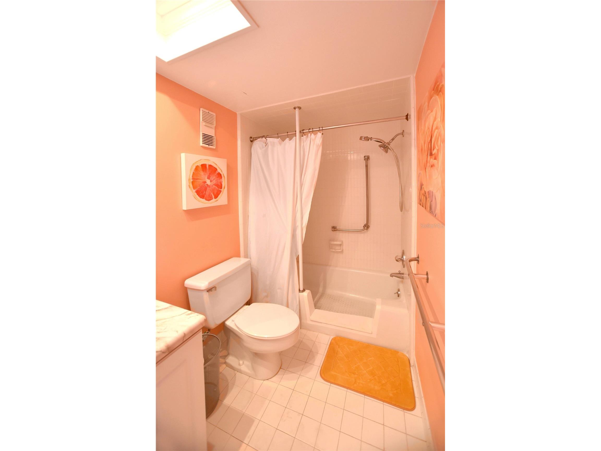 4900 Brittany Drive S #1003 Saint Petersburg FL 33715 - BOCA CIEGA TAMPA BAY TB8432618 image20