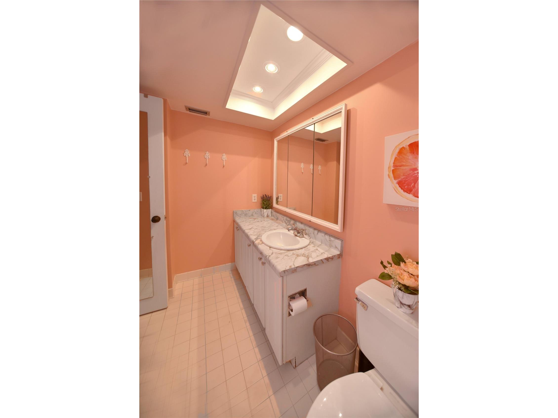 4900 Brittany Drive S #1003 Saint Petersburg FL 33715 - BOCA CIEGA TAMPA BAY TB8432618 image21