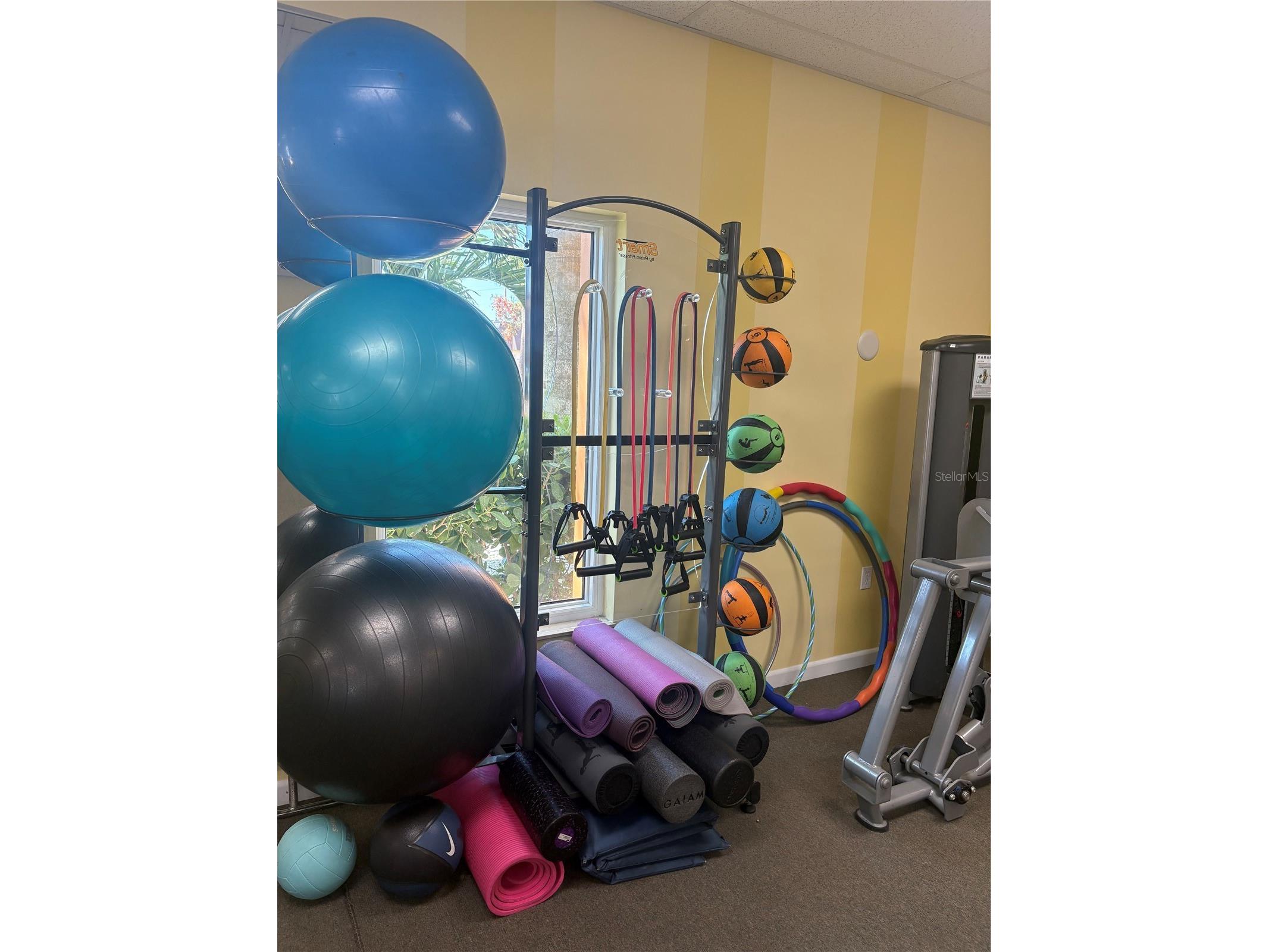 4900 Brittany Drive S #1003 Saint Petersburg FL 33715 - BOCA CIEGA TAMPA BAY TB8432618 image25