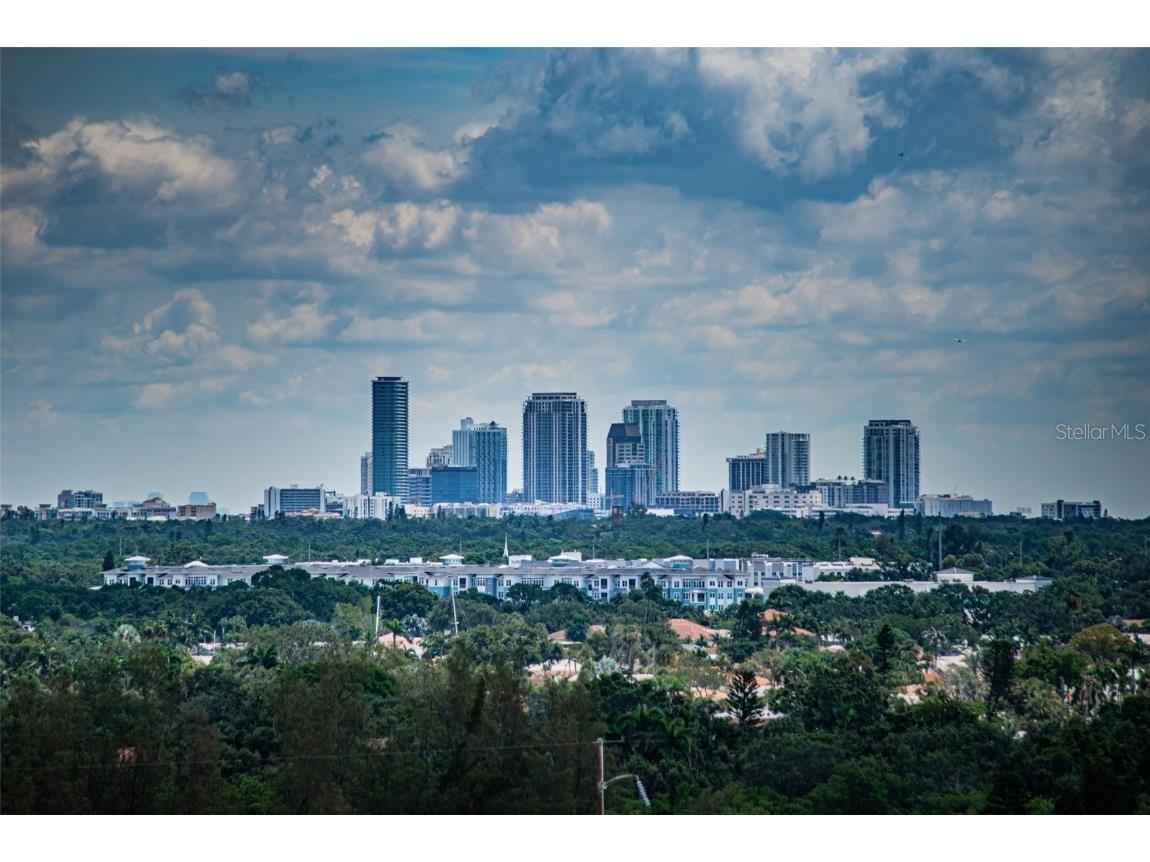 4900 Brittany Drive S #1413 Saint Petersburg FL 33715 TB8405064 image48