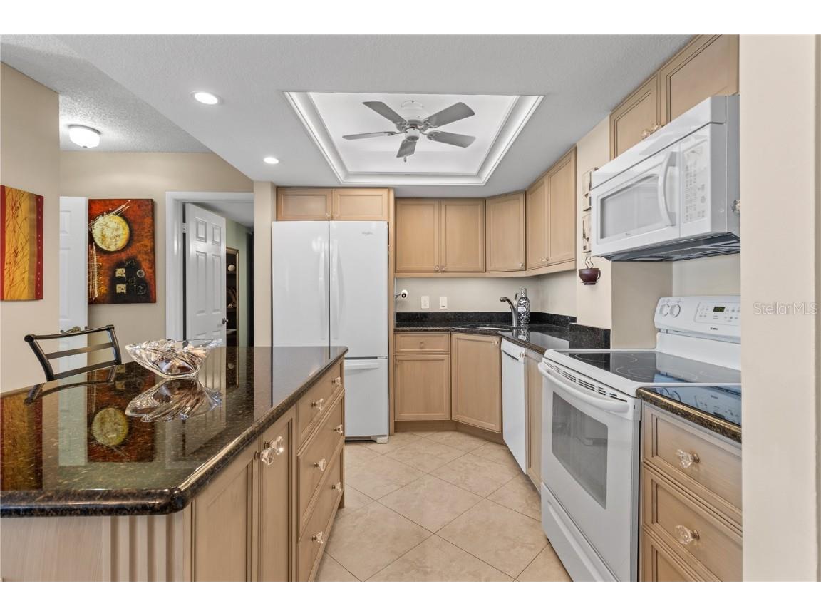 4900 Brittany Drive S #1512 Saint Petersburg FL 33715 - BOCA CIEGA BAY AND MORE TB8431359 image7