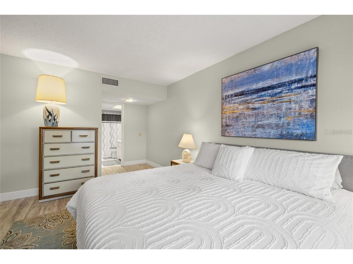 4900 Brittany Drive S #205 Saint Petersburg FL 33715 TB8360214 image11