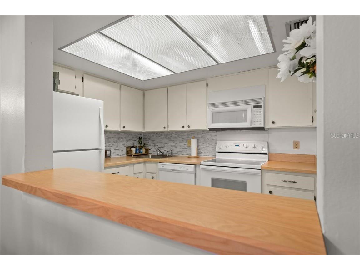 4900 Brittany Drive S #205 Saint Petersburg FL 33715 TB8360214 image9