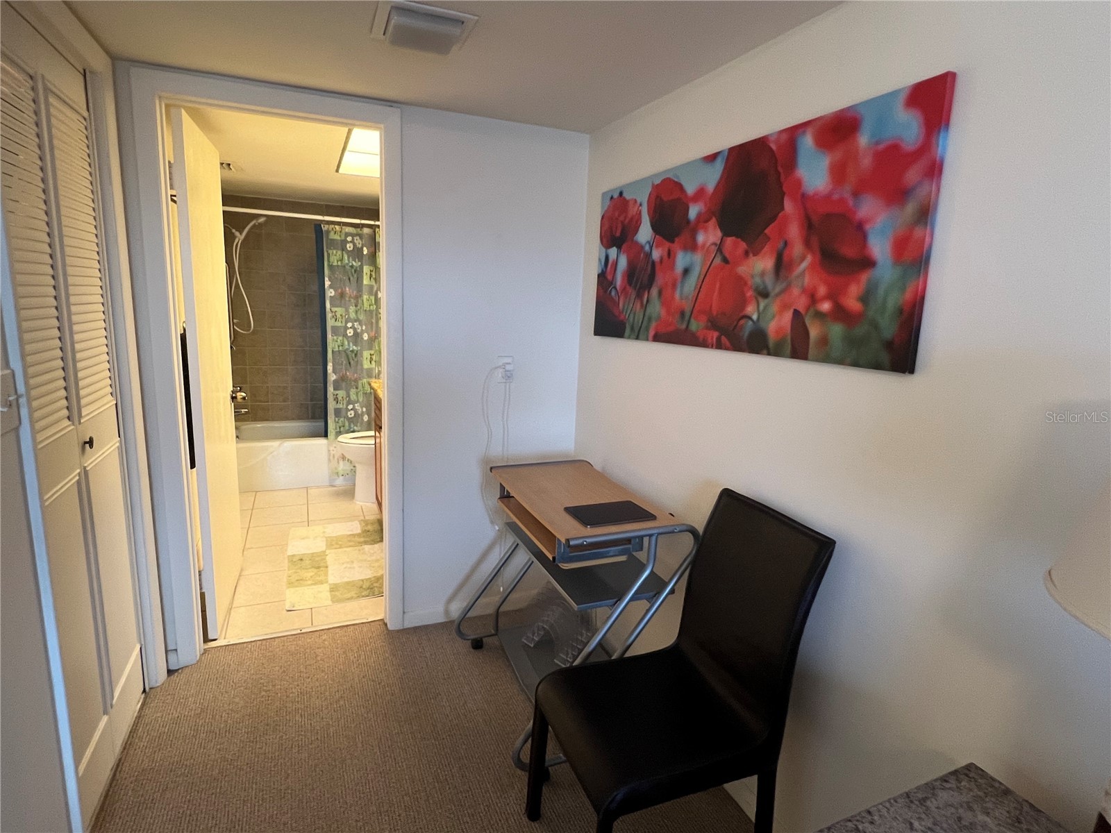 4900 Brittany Drive S #305 Saint Petersburg FL 33715 TB8507738 image25
