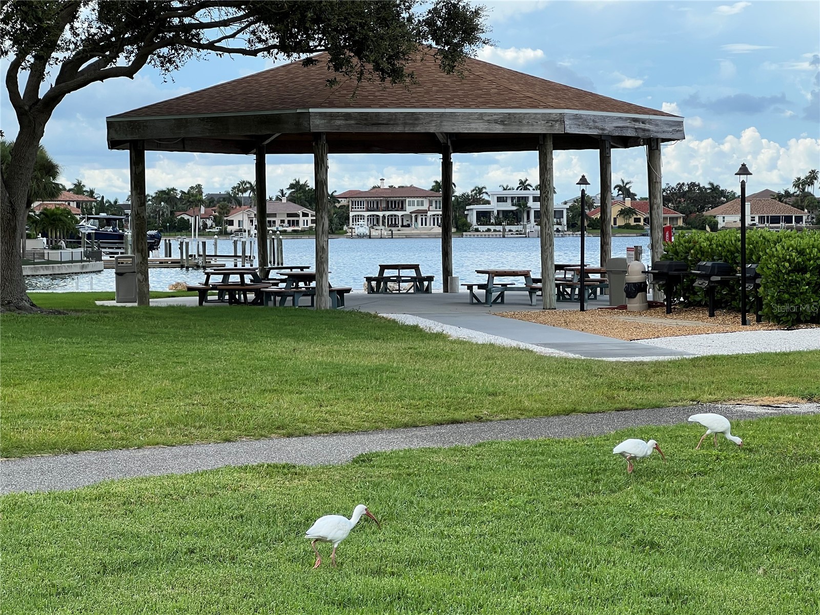 4900 Brittany Drive S #305 Saint Petersburg FL 33715 TB8507738 image3