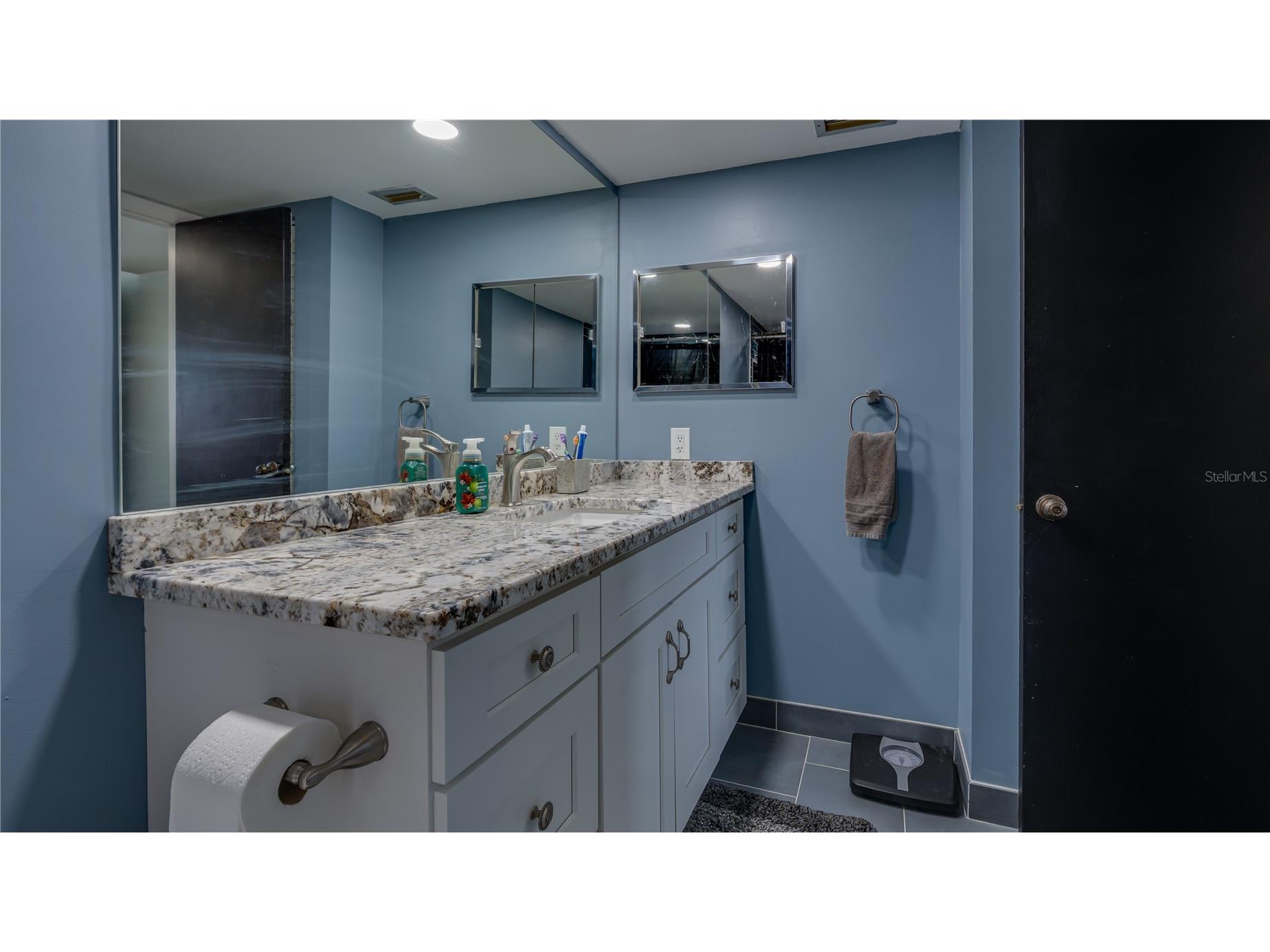 4900 Brittany Drive S #411 Saint Petersburg FL 33715 TB8492850 image32