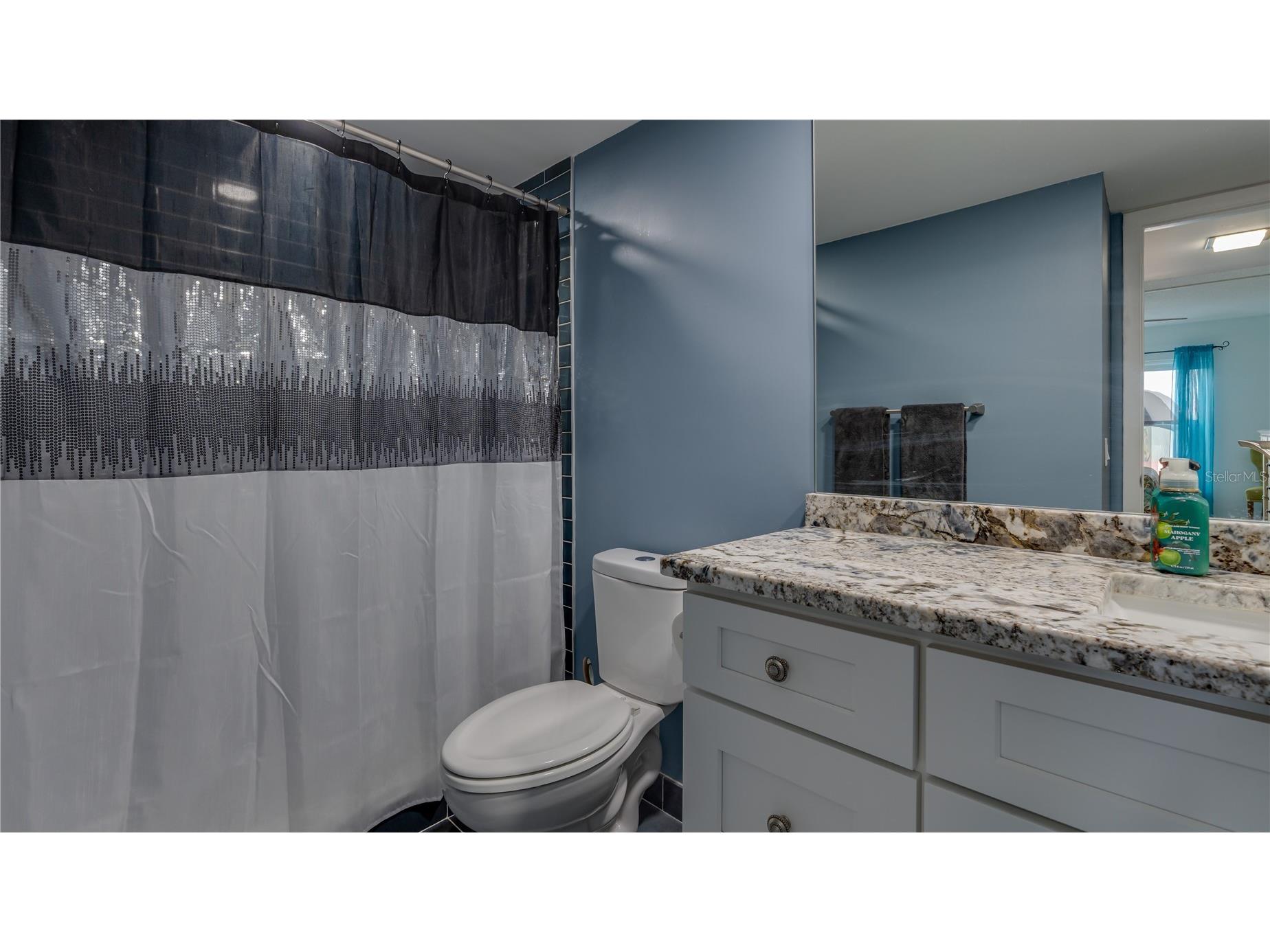 4900 Brittany Drive S #411 Saint Petersburg FL 33715 TB8492850 image33