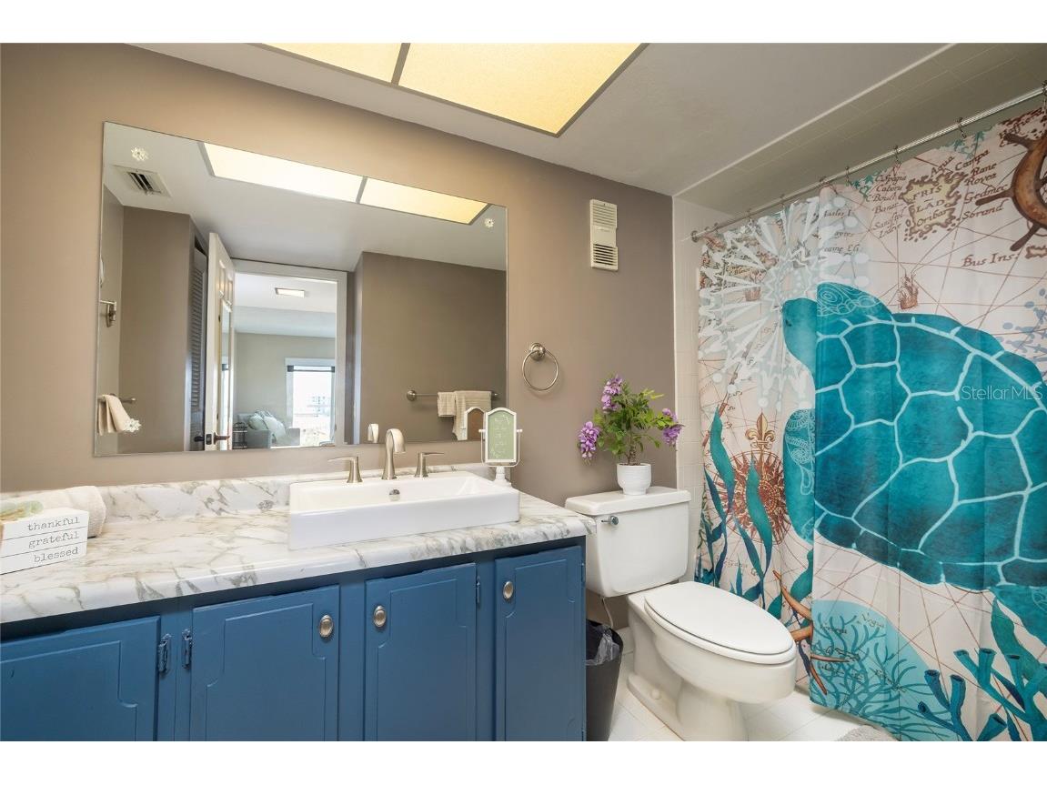 4900 Brittany Drive S #613 Saint Petersburg FL 33715 - BOCA CIEGA BAY TB8391226 image19