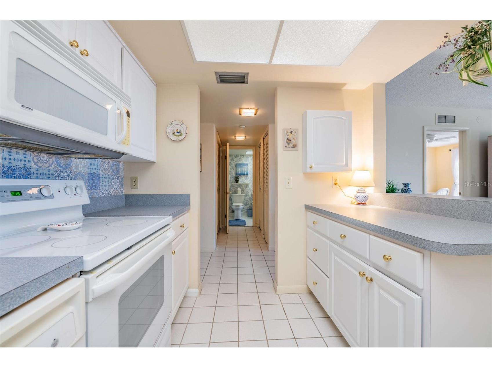 4900 Brittany Drive S #805 Saint Petersburg FL 33715 TB8458475 image27