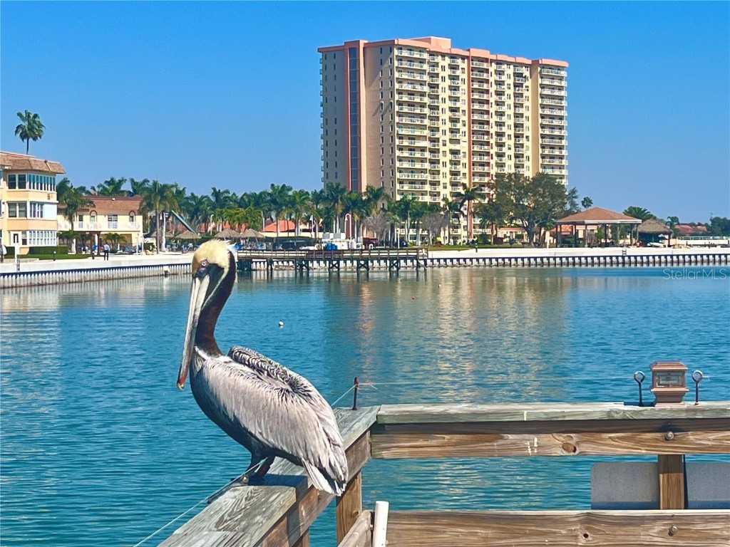 4900 Brittany Drive S #808 Saint Petersburg FL 33715 - BOCA CIEGA BAY TB8380957 image46