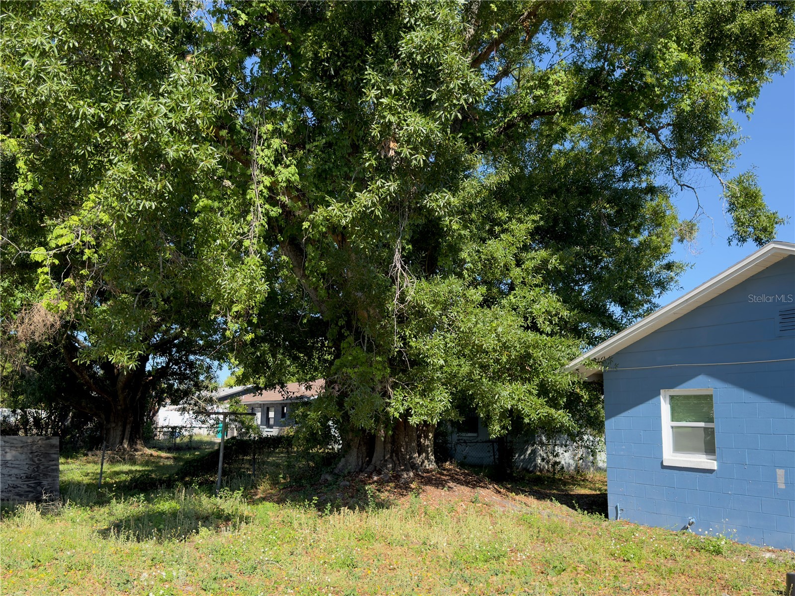 4900 Elese Street Orlando FL 32811 O6396635 image23