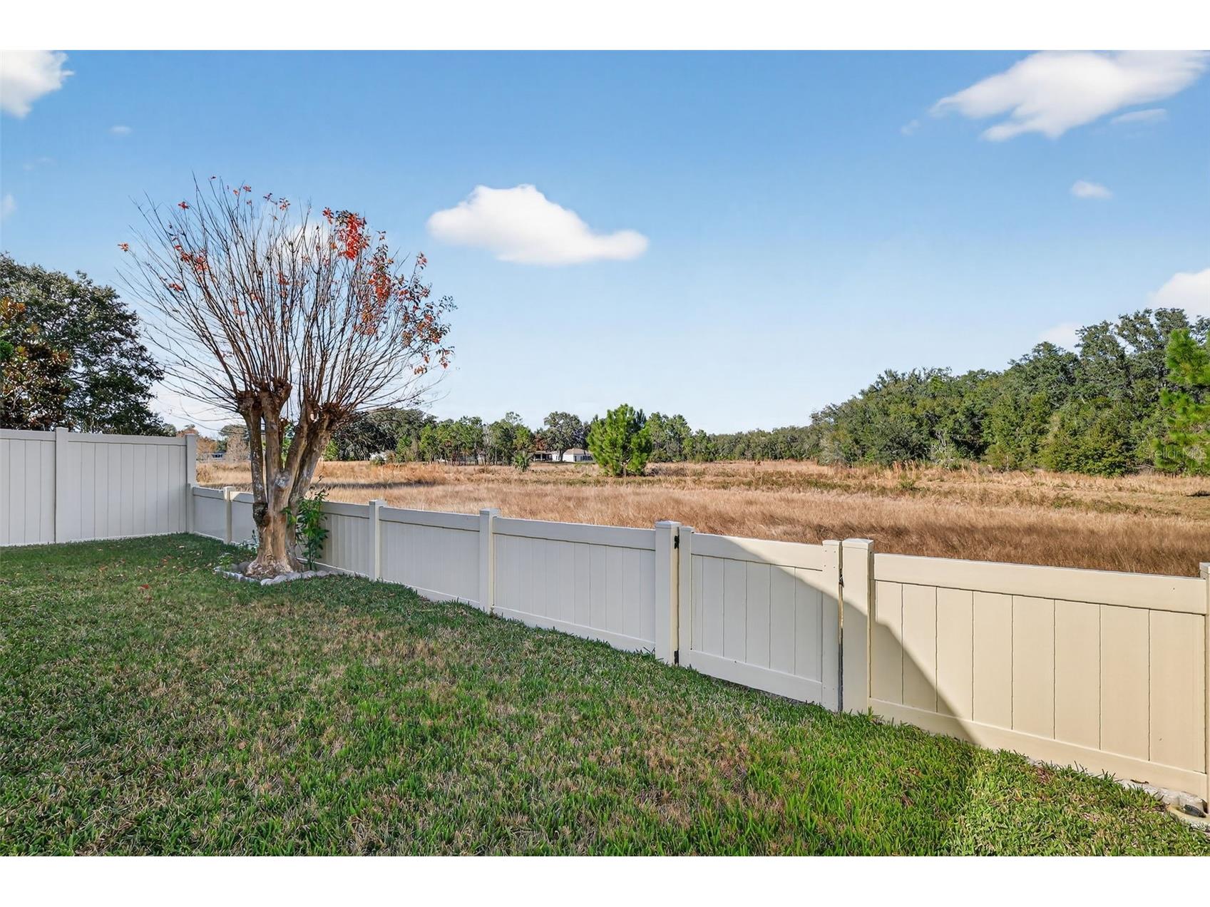 4900 Heron Run Circle Leesburg FL 34748 G5106484 image26