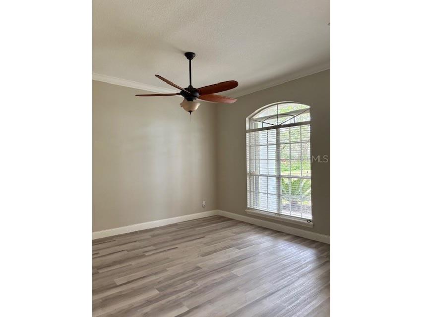 4901 Chuluota Road Orlando FL 32820 - LAKE PICKETT O6391001 image12