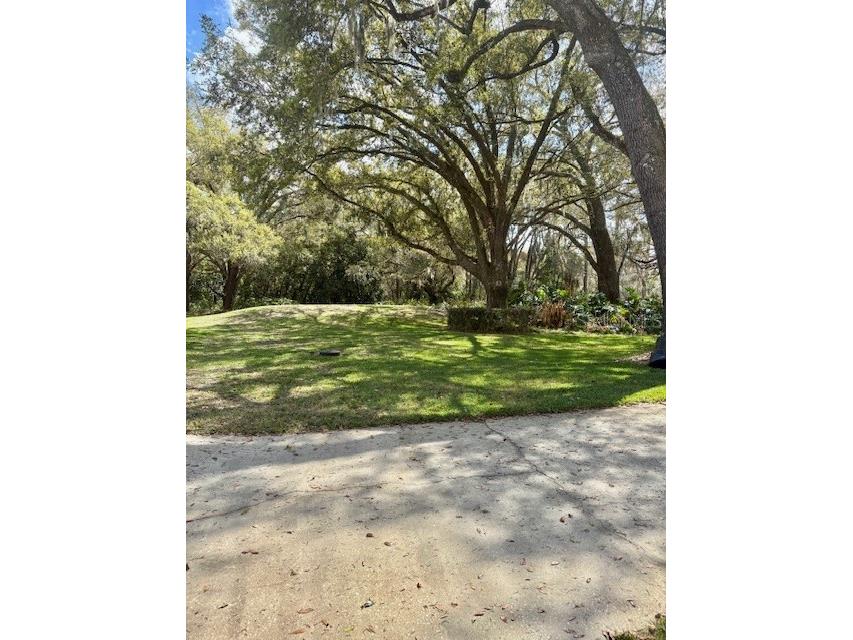 4901 Chuluota Road Orlando FL 32820 - LAKE PICKETT O6391001 image3