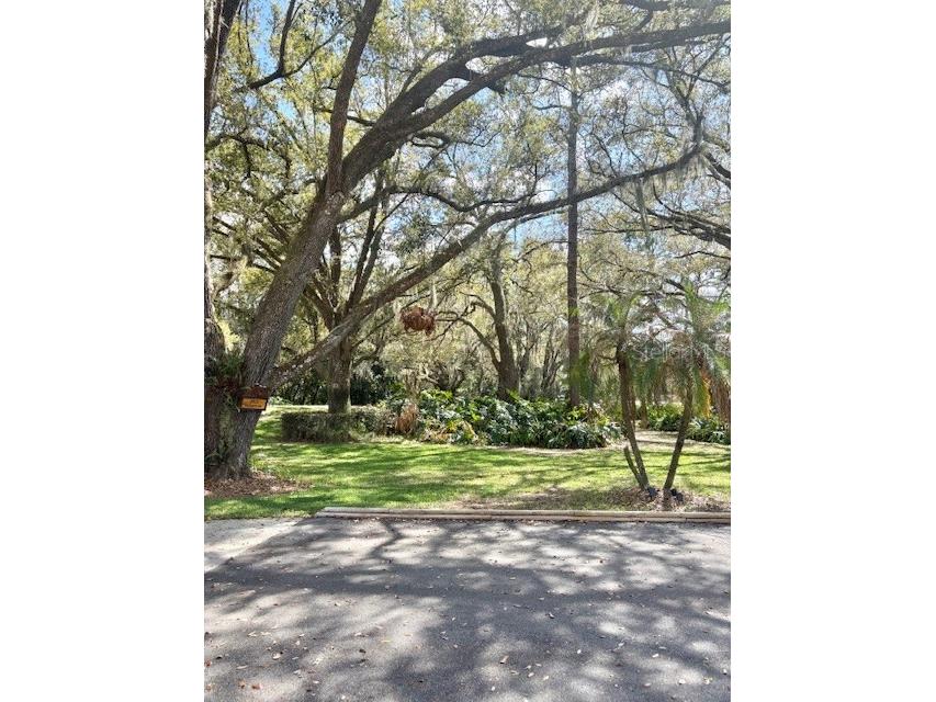 4901 Chuluota Road Orlando FL 32820 - LAKE PICKETT O6391001 image4