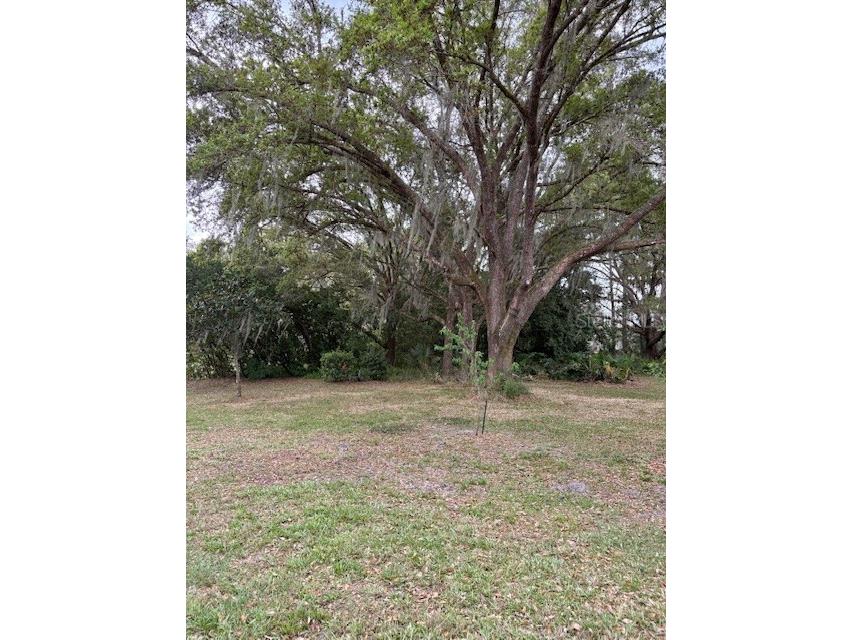 4901 Chuluota Road Orlando FL 32820 - LAKE PICKETT O6391001 image61