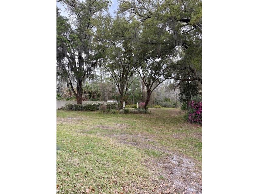 4901 Chuluota Road Orlando FL 32820 - LAKE PICKETT O6391001 image62