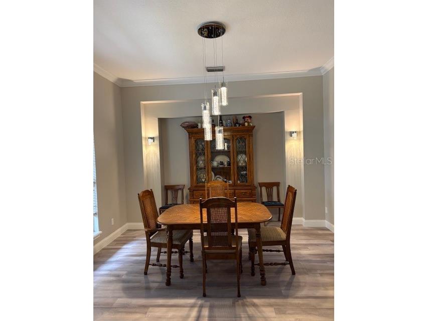 4901 Chuluota Road Orlando FL 32820 - LAKE PICKETT O6391001 image8