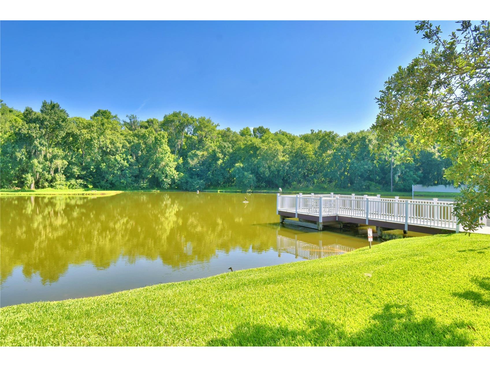 4901 Colonnades Circle E Lakeland FL 33811 L4963376 image61