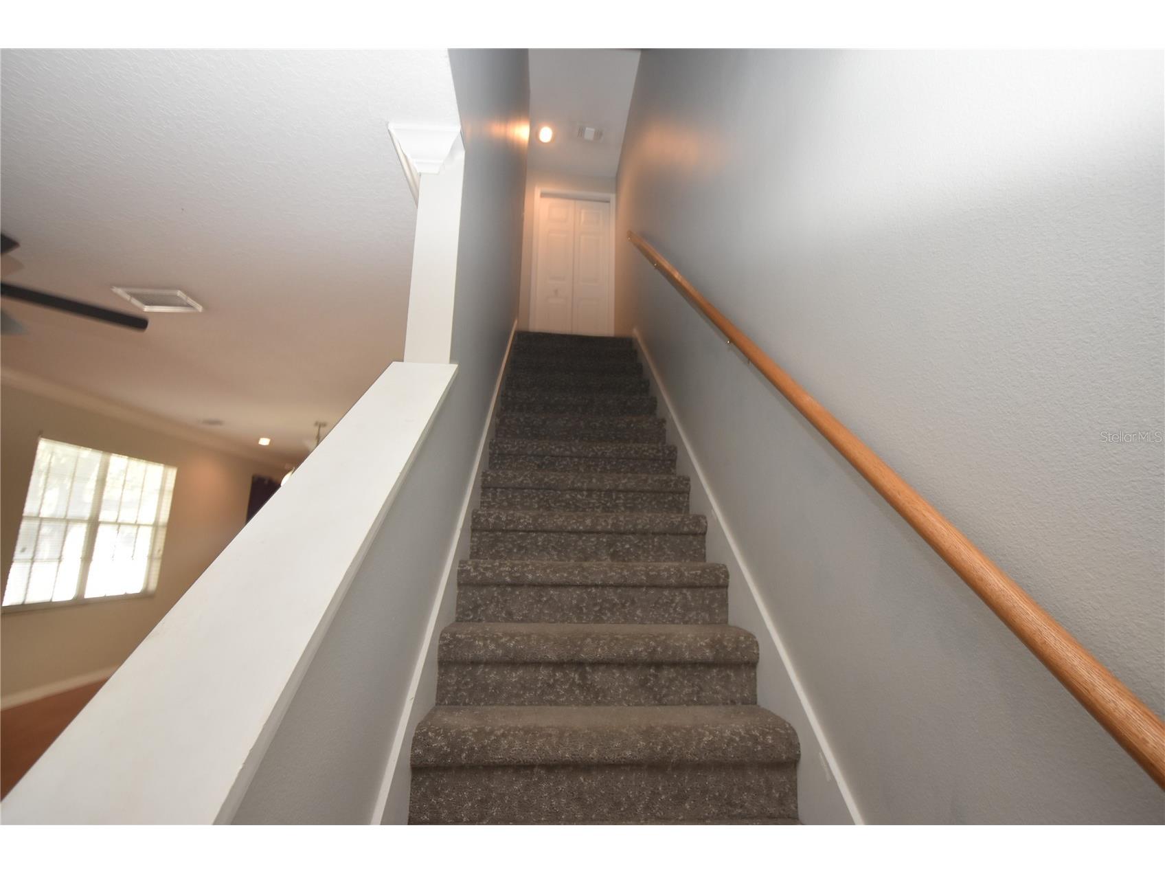 4901 Elizabeth Anne Circle Tampa FL 33616 TB8505661 image7