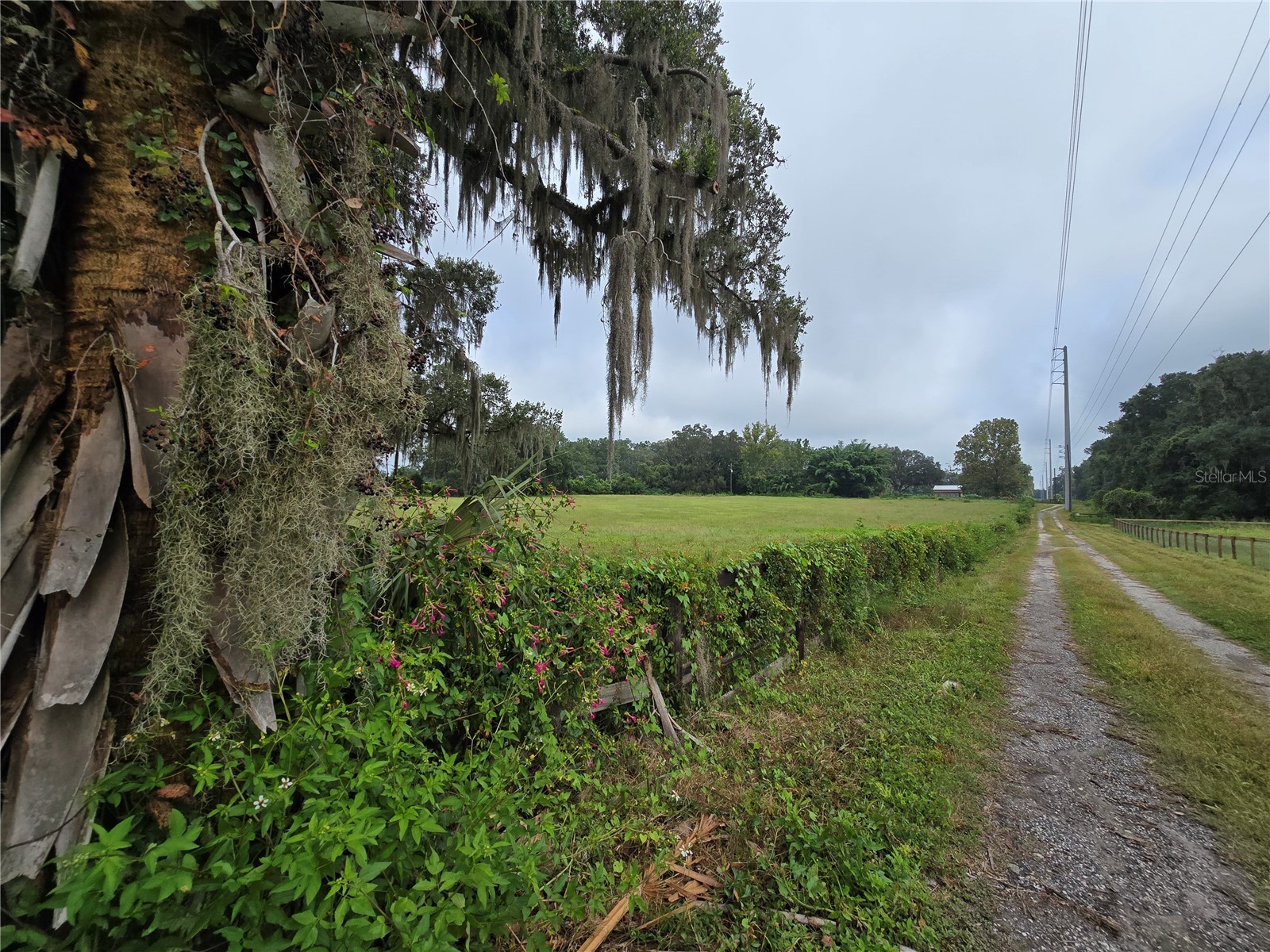 4901 NW 152nd Lane Reddick FL 32686 GC533677 image1