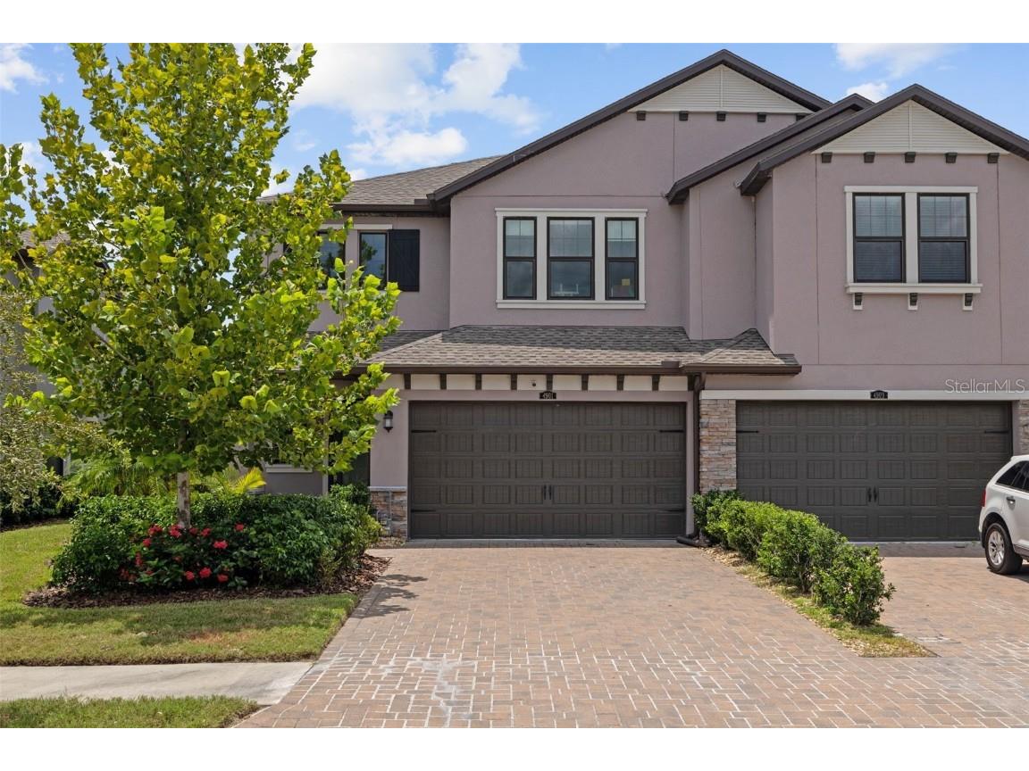 4901 San Martino Drive Wesley Chapel FL 33543 T3545884 image1
