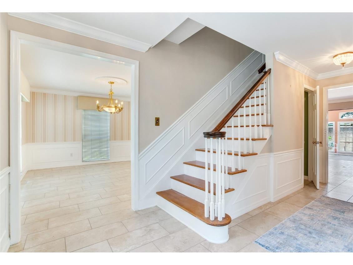 4901 W Estrella Street Tampa FL 33629 TB8399614 image9