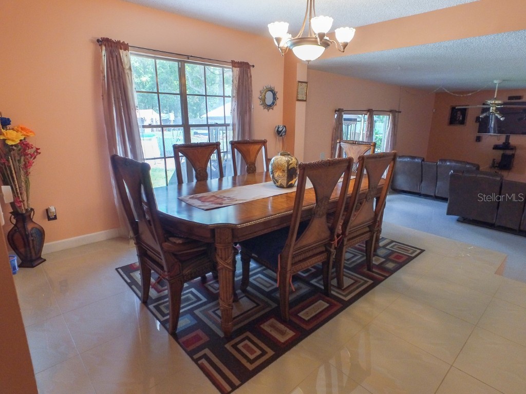 4902 Five Acre Road Plant City FL 33565 - PRIVATE ON SITE MAN-MADE POND TB8362974 image15