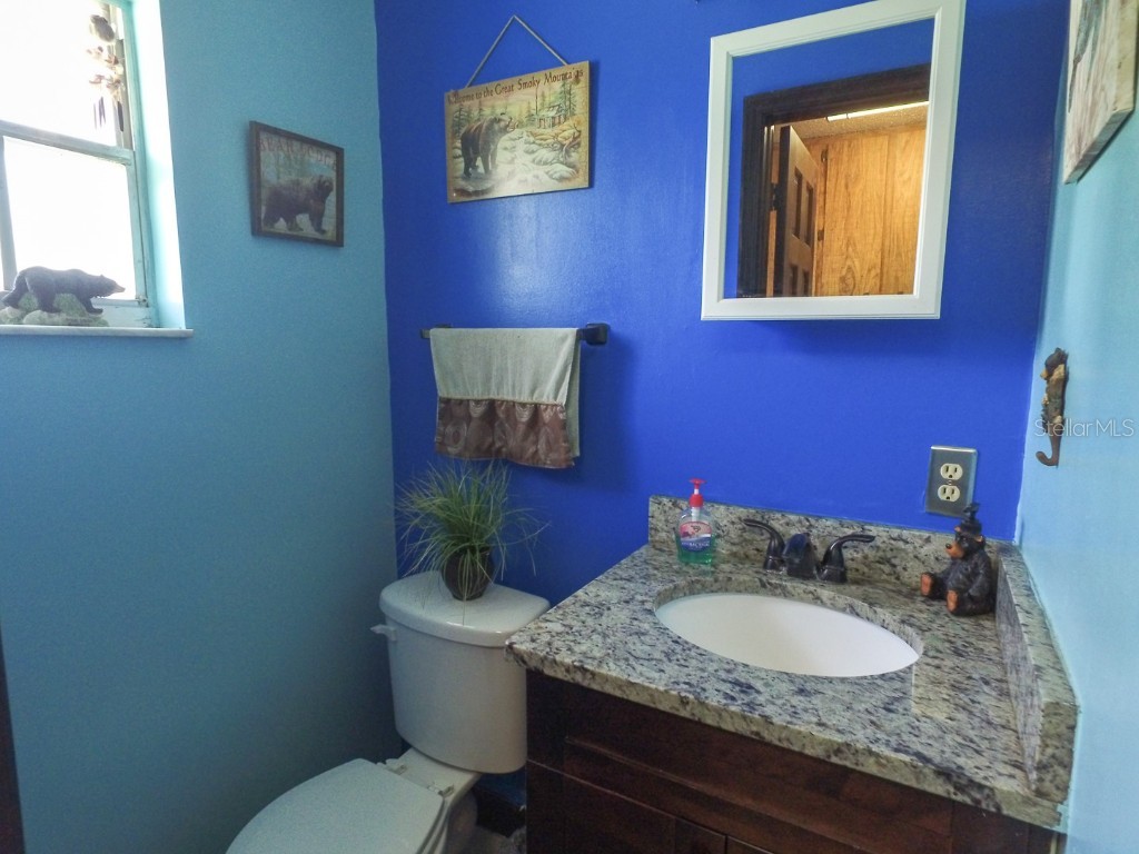 4902 Five Acre Road Plant City FL 33565 - PRIVATE ON SITE MAN-MADE POND TB8362974 image21