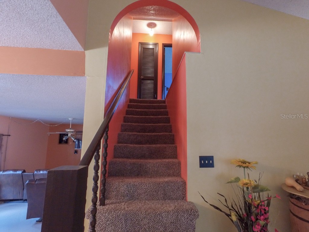 4902 Five Acre Road Plant City FL 33565 - PRIVATE ON SITE MAN-MADE POND TB8362974 image26