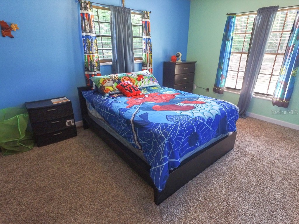 4902 Five Acre Road Plant City FL 33565 - PRIVATE ON SITE MAN-MADE POND TB8362974 image27