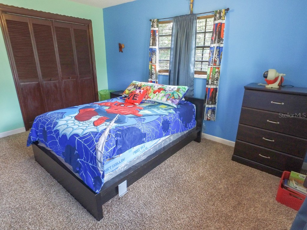 4902 Five Acre Road Plant City FL 33565 - PRIVATE ON SITE MAN-MADE POND TB8362974 image28