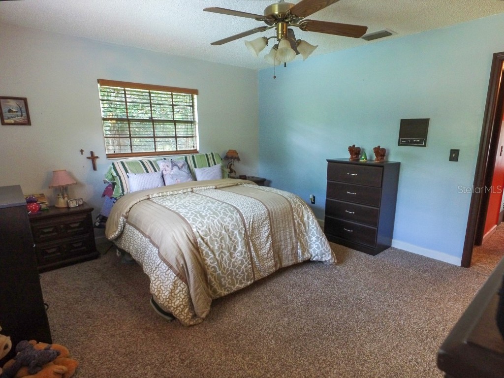 4902 Five Acre Road Plant City FL 33565 - PRIVATE ON SITE MAN-MADE POND TB8362974 image30