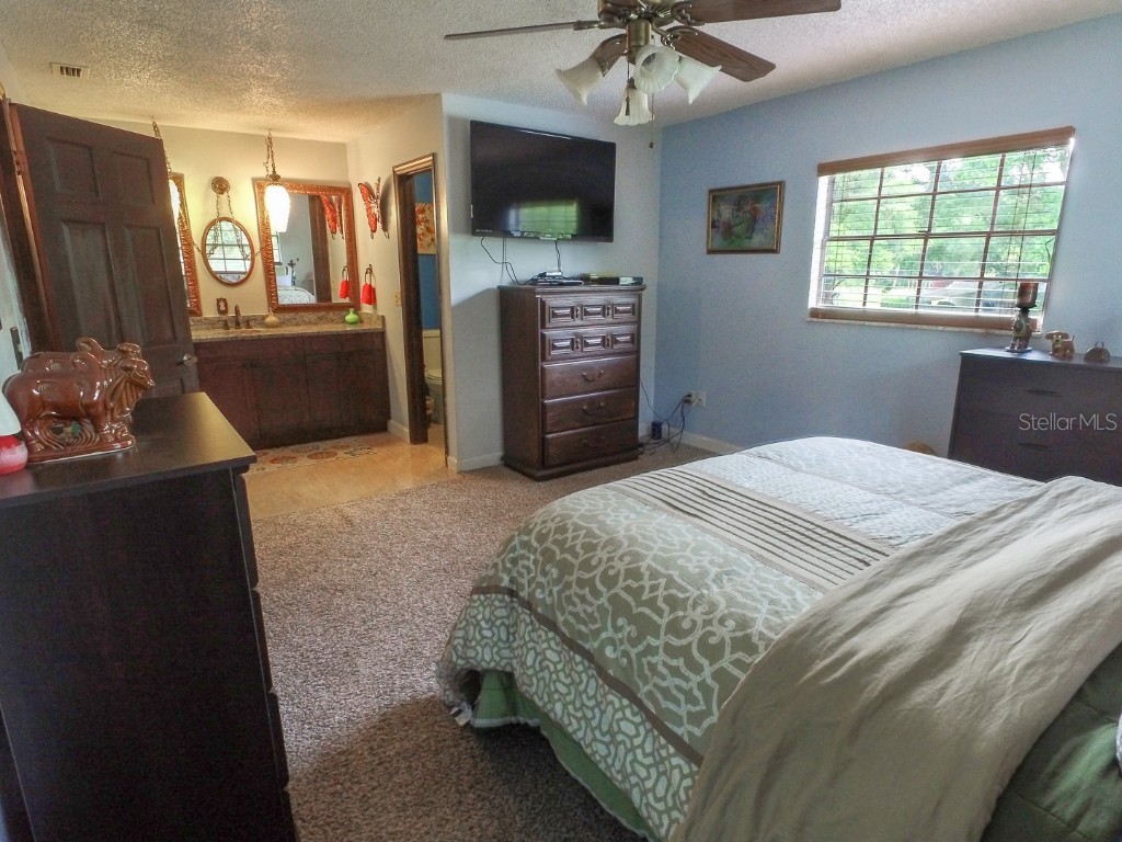 4902 Five Acre Road Plant City FL 33565 - PRIVATE ON SITE MAN-MADE POND TB8362974 image31