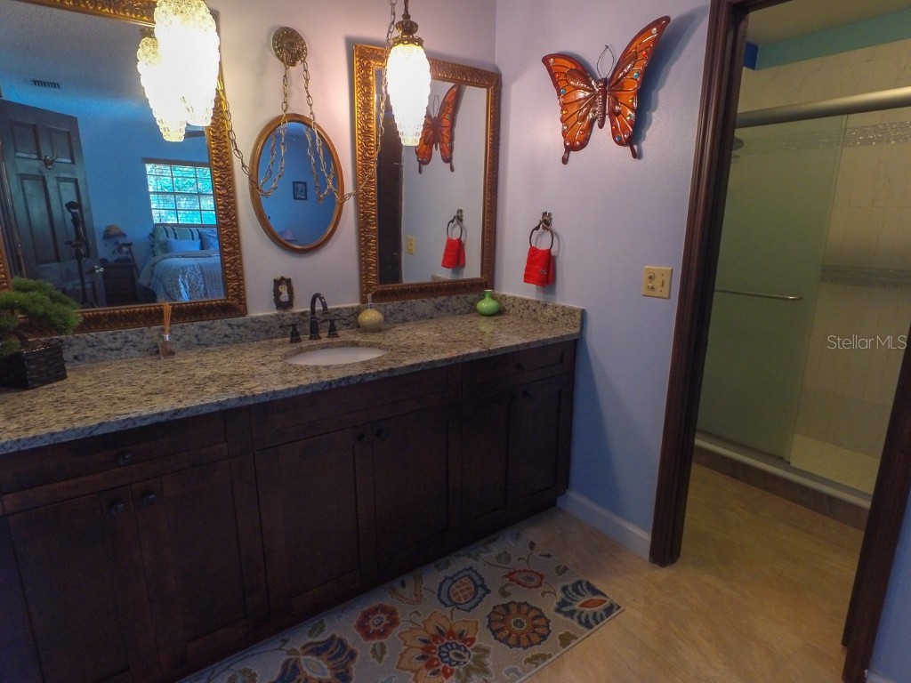 4902 Five Acre Road Plant City FL 33565 - PRIVATE ON SITE MAN-MADE POND TB8362974 image32