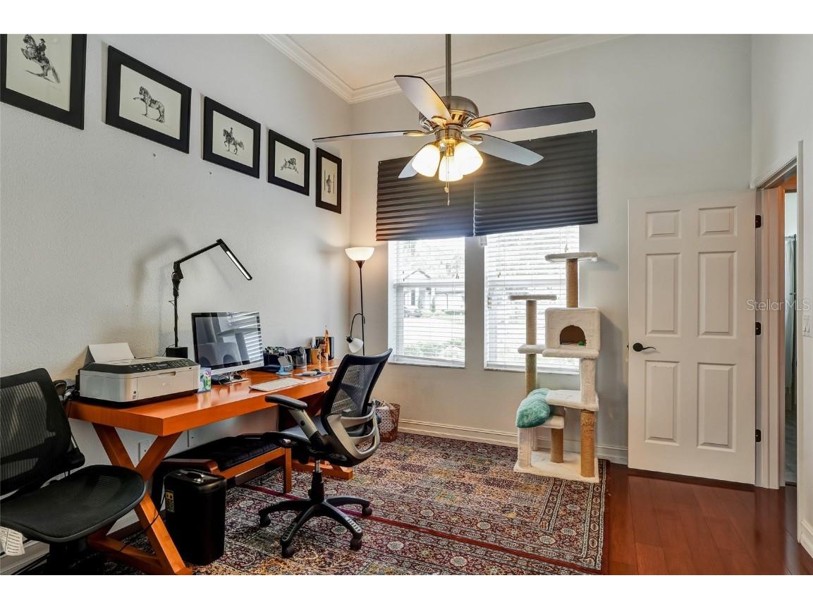 4902 Jenni Lin Court Valrico FL 33596 TB8409646 image40