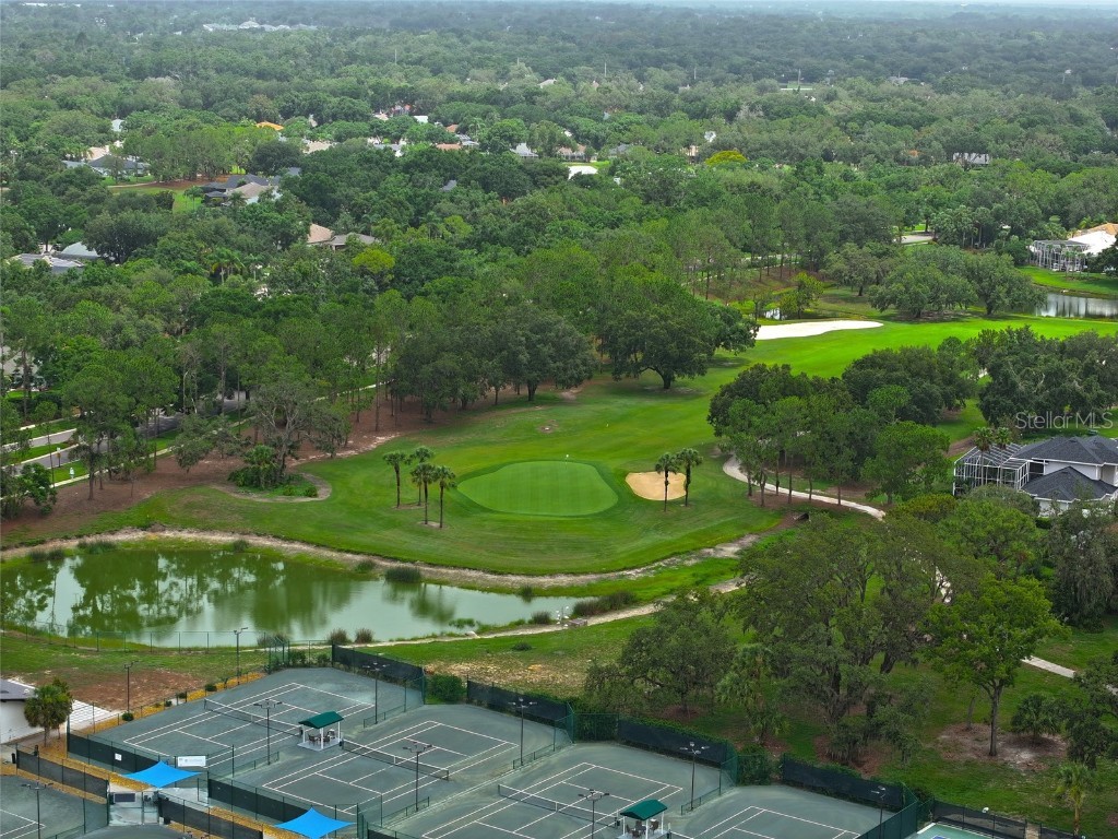 4902 Jenni Lin Court Valrico FL 33596 TB8409646 image54