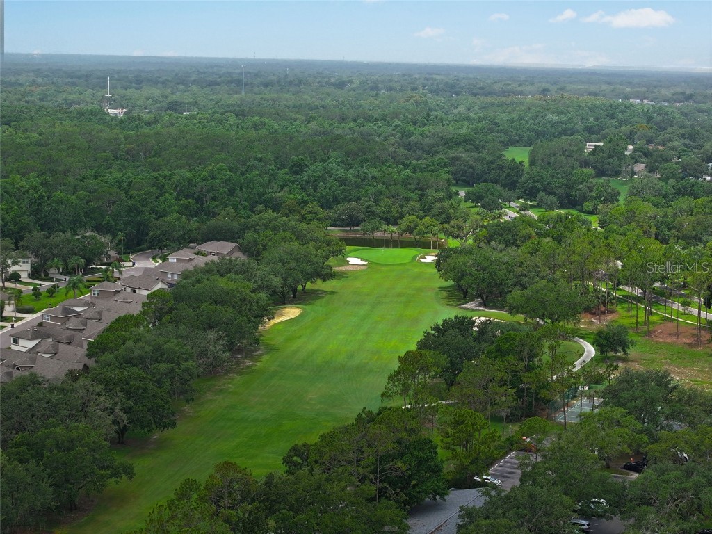 4902 Jenni Lin Court Valrico FL 33596 TB8409646 image58