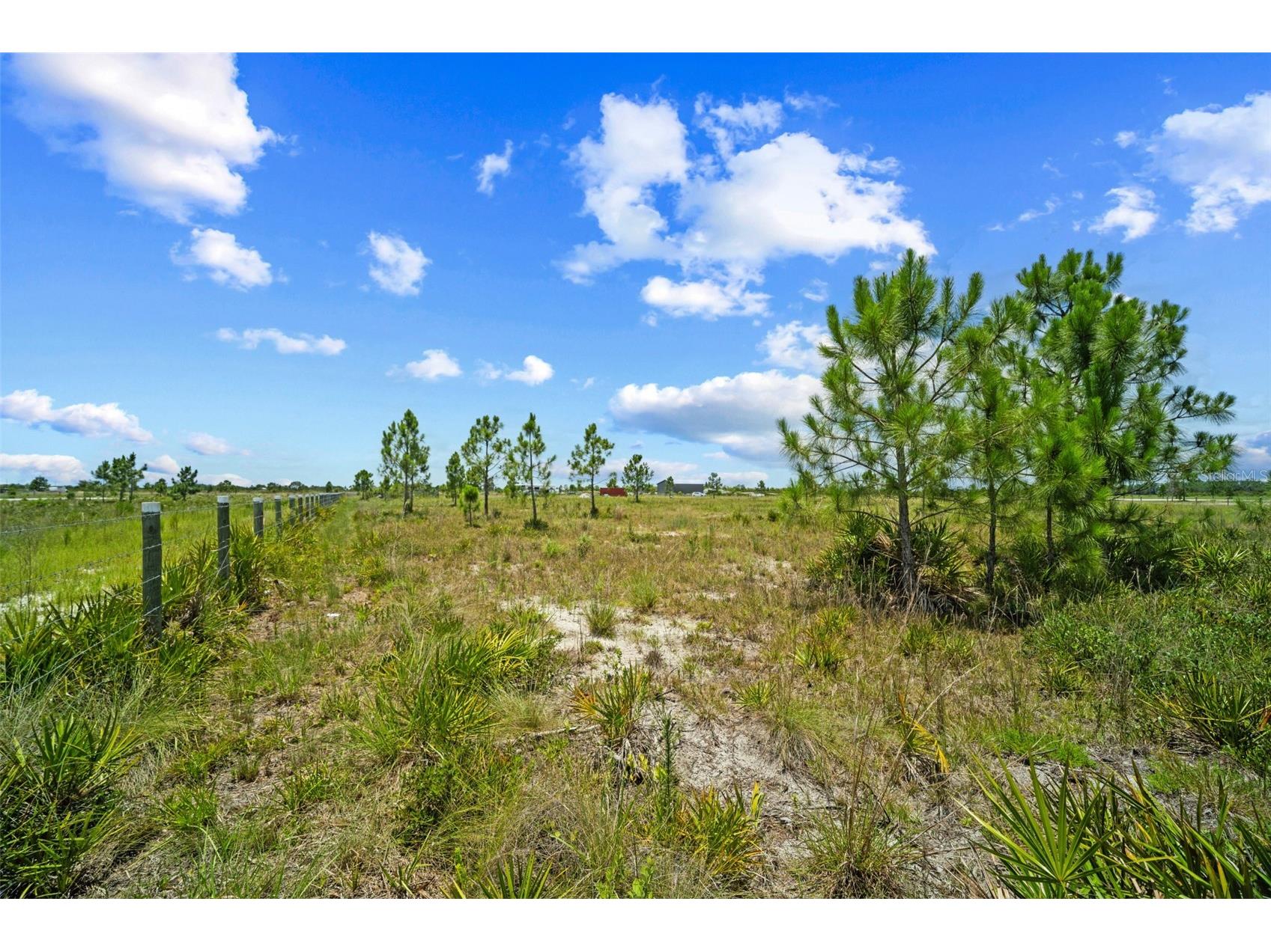 49021 Bermont Road Punta Gorda FL 33982 TB8521251 image8