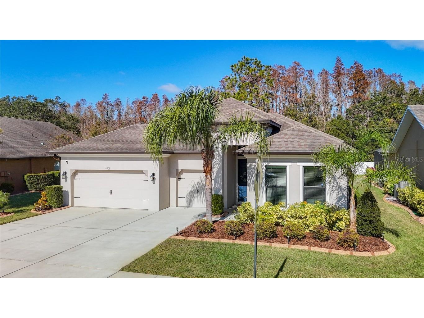 4903 Diamonds Palm Loop Wesley Chapel FL 33543 TB8337433 image1